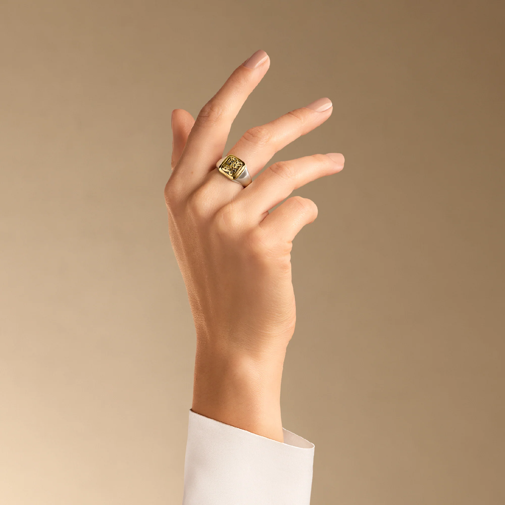 We Are One Ring - Image 2